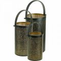 Floristik24 Lanternes décoratives, lanterne métal motif trou H35,5/31/25cm lot de 3
