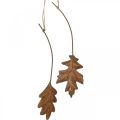 Floristik24 Feuilles en métal pour accrocher des feuilles d&#39;automne brun rouille 7.5-10cm 4pcs