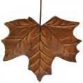 Floristik24 Feuilles en métal pour accrocher des feuilles d&#39;automne brun rouille 7.5-10cm 4pcs
