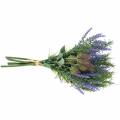 Floristik24 Bouquet d&#39;herbes lavande, romarin, chardon 40cm