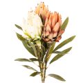 Floristik24 Fleur artificielle de Protea Leucadendron à longue tige, 65 cm, lot de 3