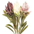 Protea artificielle