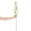 Lys blanc artificiel à longue tige fleurie, décoratif, 80 cm | Floristik24.be
