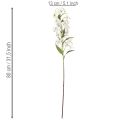 Lys blanc artificiel à longue tige fleurie, décoratif, 80 cm | Floristik24.be