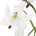 Lys blanc artificiel à longue tige fleurie, décoratif, 80 cm | Floristik24.be