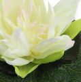 Floristik24 Fleur de lotus flottante 18cm blanc 3pcs