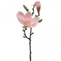 Floristik24 Magnolia rose fleur artificielle décoration branche de fleur artificielle H40cm
