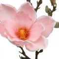Floristik24 Magnolia rose fleur artificielle décoration branche de fleur artificielle H40cm