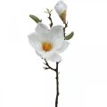 Floristik24 Fleur artificielle blanche Magnolia avec bourgeons sur branche décorative H40cm