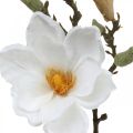 Floristik24 Fleur artificielle blanche Magnolia avec bourgeons sur branche décorative H40cm