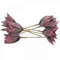 Floristik24 Fleur artificielle magnolia violet fleur en mousse Ø10cm 6pcs