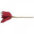 Floristik24 Magnolia artificiel rouge fleur artificielle décoration florale en mousse Ø10cm 6pcs