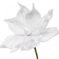 Floristik24 Magnolia artificiel blanc fleur artificielle sur tige Ø10cm Mousse 6pcs