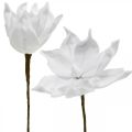 Floristik24 Magnolia artificiel blanc fleur artificielle sur tige Ø10cm Mousse 6pcs