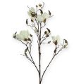 Floristik24 Branche de magnolia blanc 110cm