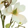 Floristik24 Pêche magnolia 85cm