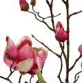 Floristik24 Branche de magnolia violet 110cm 1p