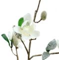 Floristik24 Branche de magnolia blanc L 82cm avec neige