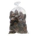 Cônes Maritima 14/18 naturel 25 pcs | Floristik24.be