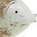 Floristik24 Décoration maritime poisson bois poisson en bois shabby chic 17×8cm