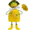 Floristik24 Grenouille figurine déco jardin pluie grenouille métal H35cm