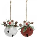 Floristik24 Cloches avec merles, décorations oiseaux, hiver, cloches décoratives pour Noël blanc/rouge Ø9cm H10cm lot de 2