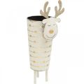 Floristik24 Cache-pot renne, décoration de l&#39;Avent, décoration métal, cache-pot pour Noël blanc, doré H28cm Ø8.5cm