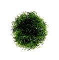 Floristik24 Mini boule d&#39;herbe plante artificielle verte ronde Ø10cm 1pc