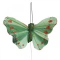 Floristik24 Mini papillon sur fil rouge, vert 6.5cm 12pcs