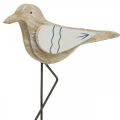 Floristik24 Mouette en bois, décoration maritime, oiseau côtier Shabby Chic, bleu et blanc H25cm