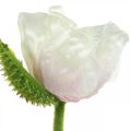 Floristik24 Coquelicot artificiel, fleur en soie blanc-rose L55/60/70cm lot de 3