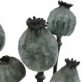 Floristik24 Capsules de graines de pavot couleur noire fleuristerie sèche décoration de graines de pavot 50-60cm 5pcs