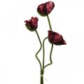 Floristik24 Coquelicot artificiel plante artificielle rouge L55/60/70cm lot de 3