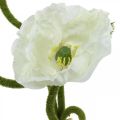 Floristik24 Fleur Artificielle Pavot Maïs Rose Artificielle Blanc L55/60/70cm Lot de 3