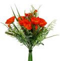 Floristik24 Bouquet de coquelicots orange 40 cm