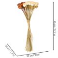 Capsules de pavot artificielles séchées, bouquet de trois couleurs, 40 cm, 45 pièces | Floristik24.be