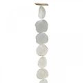 Floristik24 Guirlande Coquillages Nacre Guirlande Coquillages Capiz 195cm