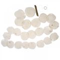 Guirlande Coquillages Nacre Guirlande Coquillages Capiz 195cm | Floristik24.be