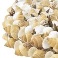 Floristik24 Couronne de coquillages escargots de mer blanc naturel Ø35cm