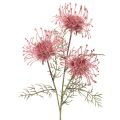 Floristik24 Coussin à épingles en forme de branche de protéa artificielle de 65 cm (lot de 3)