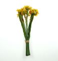 Floristik24 Bouquet jaune de narcisses 35 cm 3 p.