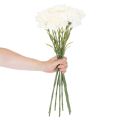 Œillets artificiels avec tige pour bouquets et couronnes, 56 cm, lot de 8 | Floristik24.be