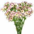 Floristik24 Bouquet d&#39;oeillets blanc, violet 34cm