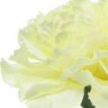 Floristik24 Carnation Blossom Blanc Ø9cm 12pcs