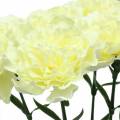 Floristik24 Carnation artificiel blanc 6pcs