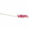 Floristik24 Branche d&#39;orchidée artificielle Rose H83cm