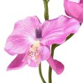 Floristik24 Orchidée Phalaenopsis artificielle 6 fleurs violette 70cm
