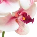 Floristik24 Orchidée Phalaenopsis artificielle 9 fleurs blanc fuchsia 96cm