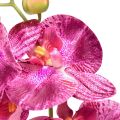 Floristik24 Orchidée flammée artificielle Phalaenopsis violette 72cm