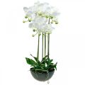 Floristik24 Orchidées artificielles en pot plante artificielle blanche 63cm
